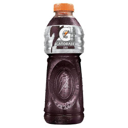 Isotônico Gatorade Sabor Uva Garrafa 500ml