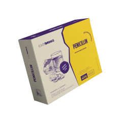 Penincillin 450G com 6 Unidades com 70g + Spray de Mel 30g